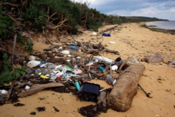 マイクロ プラスチック 問題