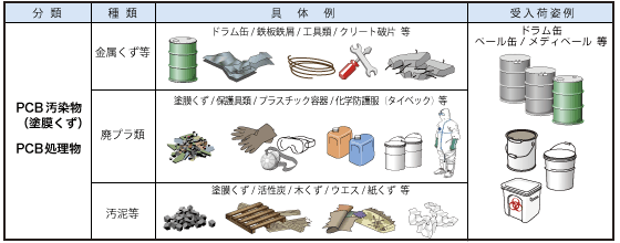 エコシステム小坂